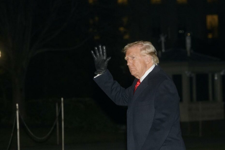 Trump offers all federal workers a buyout with seven months’ pay in effort to shrink size of government