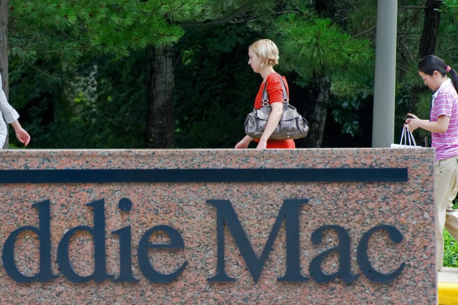 Here's what the privatization of Fannie Mae, Freddie Mac may mean for homebuyers and investors