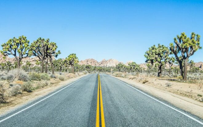 road in the desert