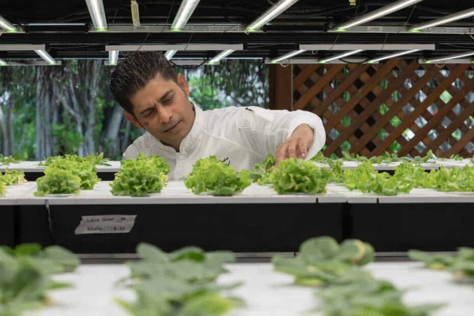 Sustainable luxury in the Maldives