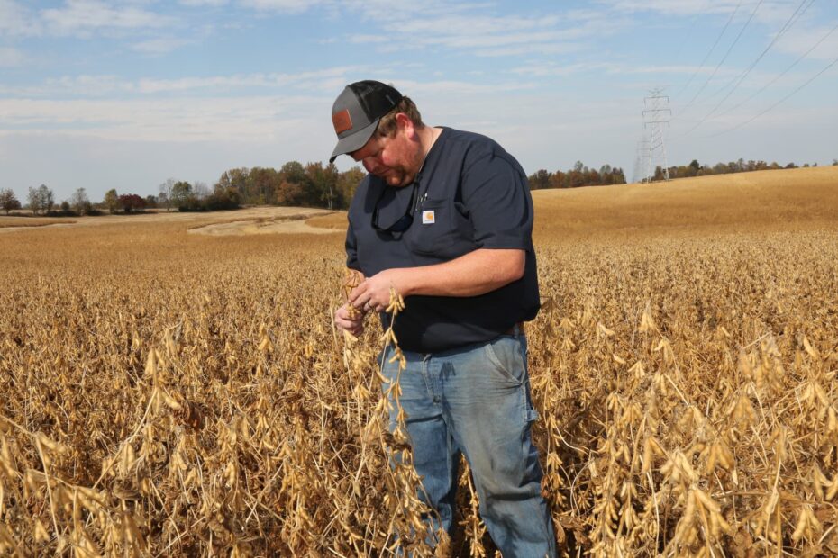 'Tariffs break trust': How Trump's trade policy is putting pressure on U.S. farmers