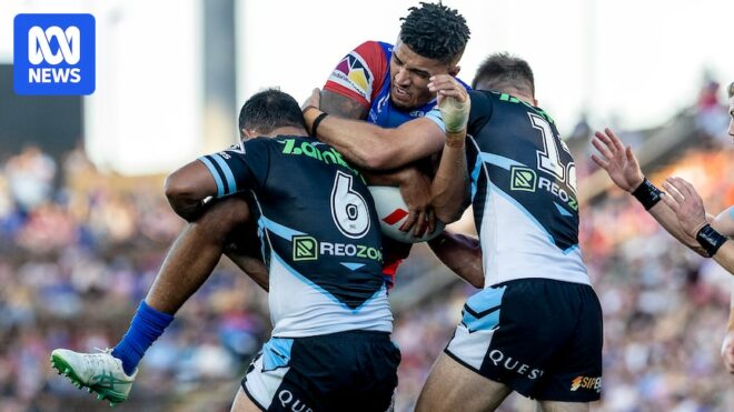Knights deliver 'horror show' in hammering by Sharks