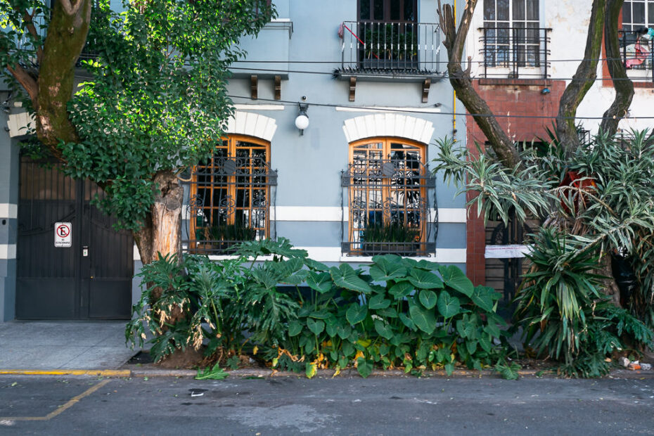 Where I Stayed in Mexico City (Hotel + Area Guide)