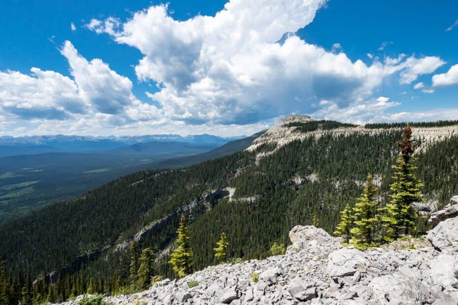 Looking over to Coliseum Mountain from the east summit of Coliseum