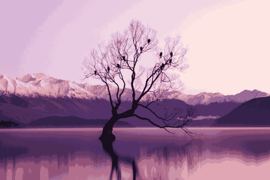 Slow luxury travel: New Zealand's photography destinations